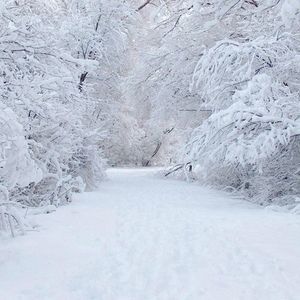 Meet your Posher, Izukuari